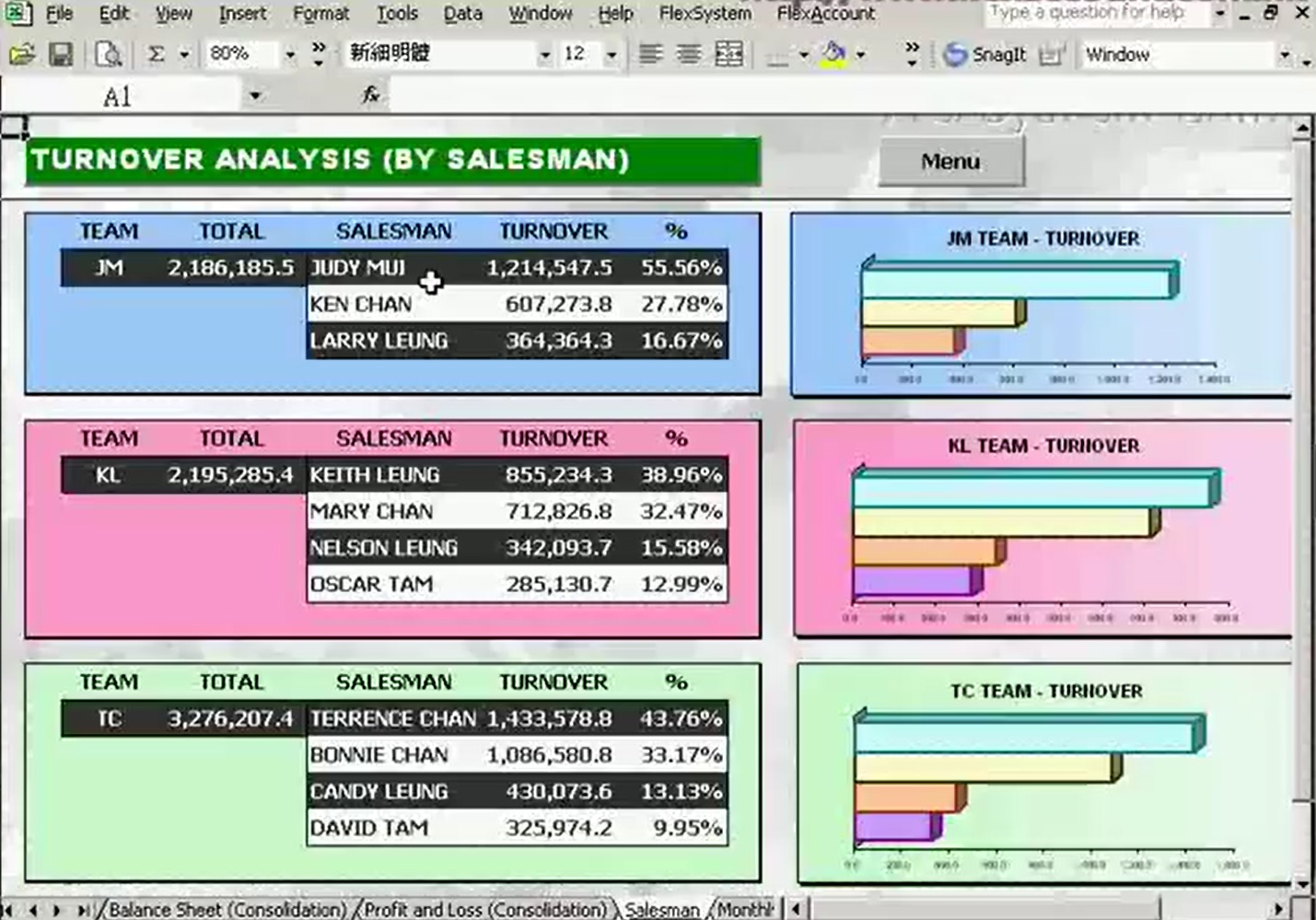 FlexSystem FlexAccount FION Demo 1 - Report Customization